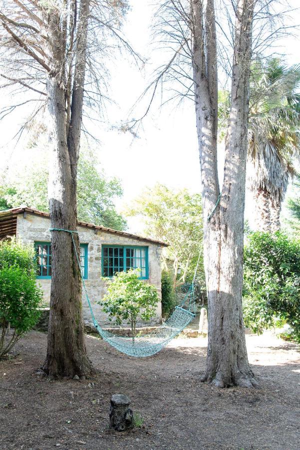Neiva River House - Azenha Next To The River Esposende Exteriér fotografie