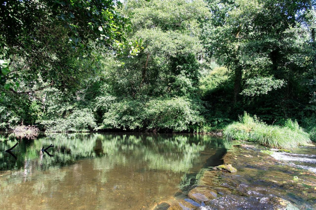 Neiva River House - Azenha Next To The River Esposende Exteriér fotografie